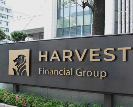 金融投资网站设计|哈维特国际金融集团